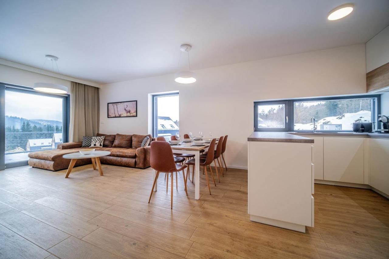 Apartman U Hajenky 429 Lipno nad Vltavou Zewnętrze zdjęcie