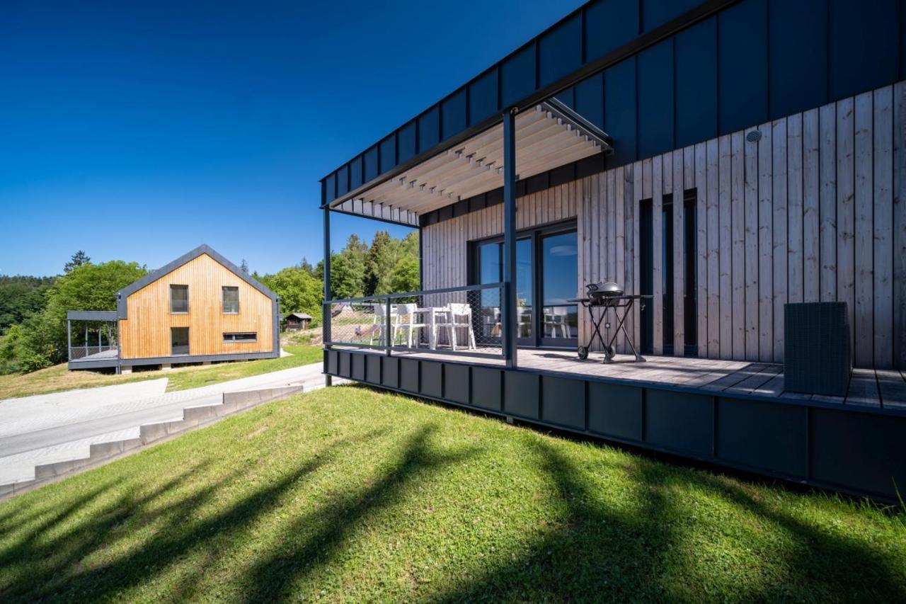 Apartman U Hajenky 429 Lipno nad Vltavou Zewnętrze zdjęcie